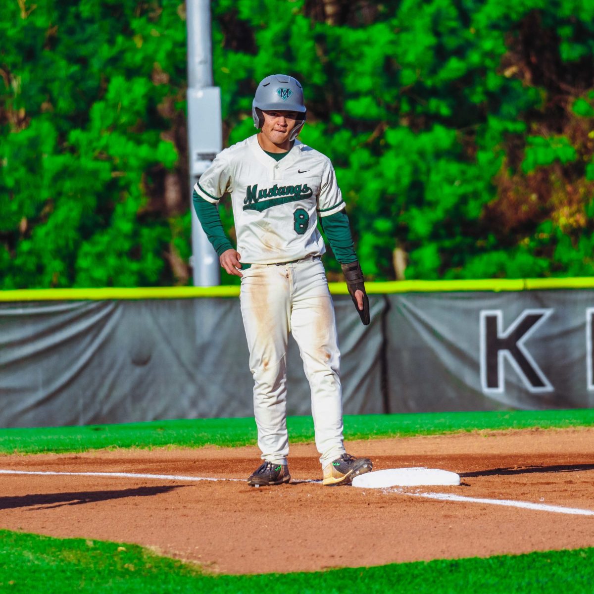 Willie_Prince_Kennesaw_Mountain_baseball.4